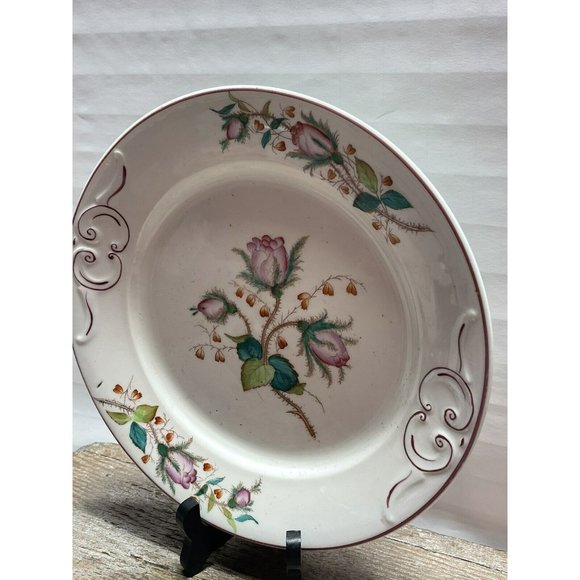 Moss Rose Ironstone 1890 - 1920 DINNER PLATE Beautiful Cottagecore Piece - Picture 4 of 12